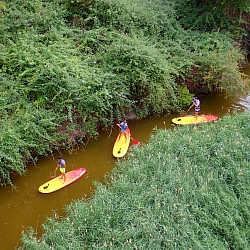 paddle surf en bolarque, paddle surf en buendia, paddle surf en trillo